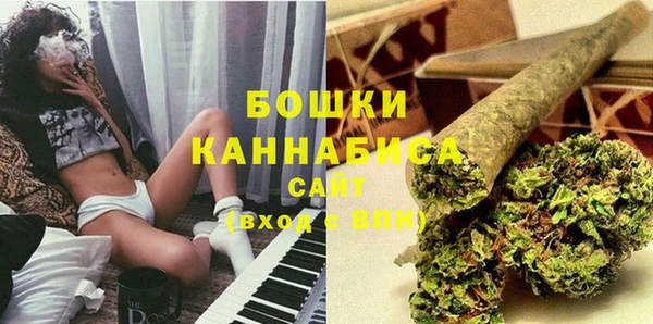 ПСИЛОЦИБИНОВЫЕ ГРИБЫ Гусь-Хрустальный