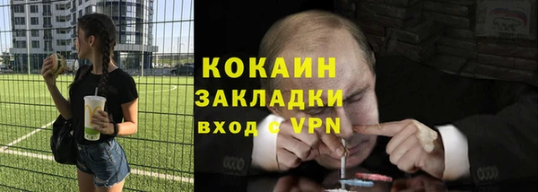 ПСИЛОЦИБИНОВЫЕ ГРИБЫ Гусь-Хрустальный