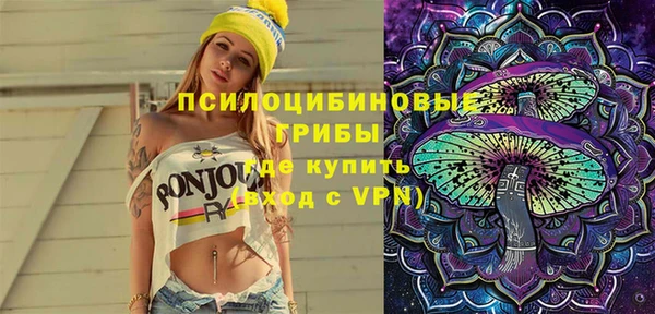 ПСИЛОЦИБИНОВЫЕ ГРИБЫ Гусь-Хрустальный