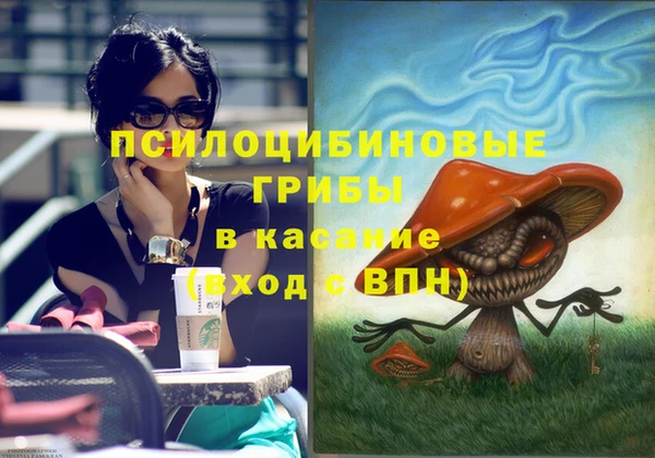 ПСИЛОЦИБИНОВЫЕ ГРИБЫ Гусь-Хрустальный