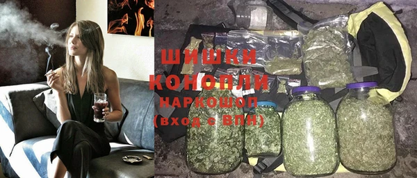 ПСИЛОЦИБИНОВЫЕ ГРИБЫ Гусь-Хрустальный