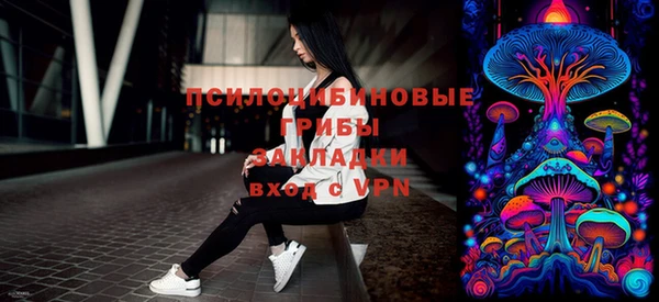 ПСИЛОЦИБИНОВЫЕ ГРИБЫ Гусь-Хрустальный