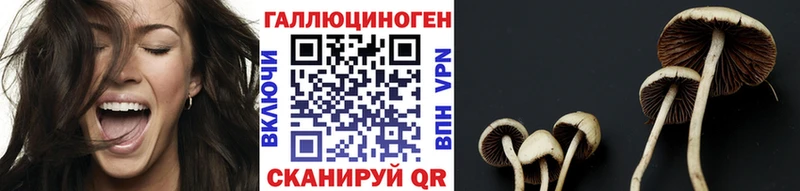 Псилоцибиновые грибы ЛСД  mega как зайти  Осинники 