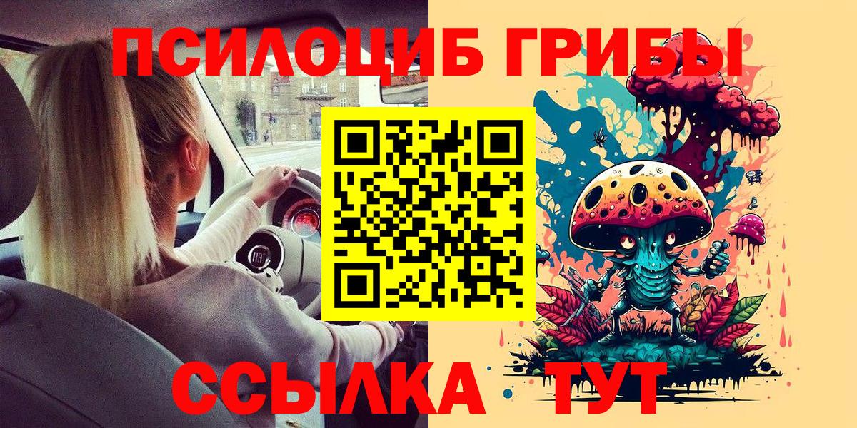Псилоцибиновые грибы Psilocybe Осинники